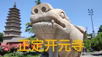 石家庄正定开元寺，唐朝宝塔钟楼，五代时期的赑屃一定是你见过最大的一尊
