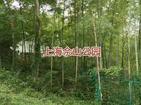 上海佘山国家森林公园