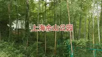 上海佘山国家森林公园