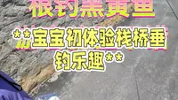 烟台养马岛带娃根钓黑黄鱼的快乐