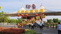 大阳山植物园印象