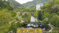 到武汉不去木兰天池，等于没去武汉，这话说的有没有道理？去木兰天池看看