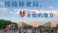 绥棱林业局，梦开始的地方...