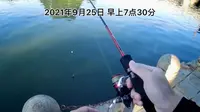 桂林路亚钓点地点推荐，临桂新区水系免费垂钓区。在资源面前，什么手法什么假饵都是吹牛皮。