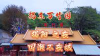 揭东万竹园，春节期间举行迎春灯会，各种民俗非遗文化表演活动，不要错过了哦！#创作灵感 #潮汕周边游 #揭阳景点 #春节来这些地方打卡吧 #灯光秀