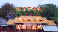 揭东万竹园，春节期间举行迎春灯会，各种民俗非遗文化表演活动，不要错过了哦！#创作灵感 #潮汕周边游 #揭阳景点 #春节来这些地方打卡吧 #灯光秀