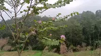 走了一天山路，一言难尽。晚上露营蒙山县夏宜乡
