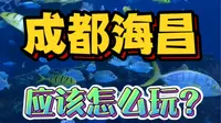 一分钟告诉你！成都海昌极地海洋公园，应该怎么玩？