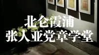 宁波北仑霞浦张人亚党章学堂