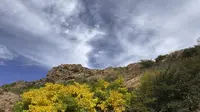 赤峰红山国家森林公园