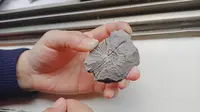 【人文科普】浏阳特产菊花石