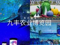 九丰农业博览园，让每一颗好奇心找到答案