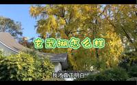 南京玄武湖公园怎么样，我有必要说说真实感受