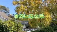 南京玄武湖公园怎么样，我有必要说说真实感受