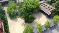 问我祖先在何处，山西洪洞大槐树。这里亿万华夏人的根！