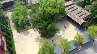 问我祖先在何处，山西洪洞大槐树。这里亿万华夏人的根！