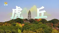 走进苏州园林 解锁虎丘从春秋到现代的文化根脉