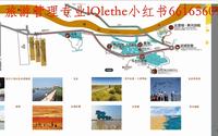 山东导游初级考试黄河口生态旅游区讲解+带背