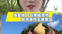 沧源班洪葫芦王地景区免费露营地