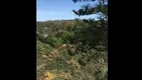 杨家界一步登天观景台