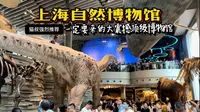 上海自然博物馆：一定要来的大震撼顶级博物馆。