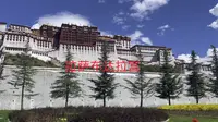 拉萨第三天，参观布达拉宫，药王山观景台打卡50元人民币背景
