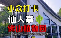 佛山植物园探秘：奇妙植物大揭秘！