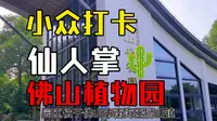 佛山植物园探秘：奇妙植物大揭秘！