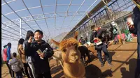 宝山前野生动物园