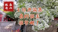 【泰山胜迹】王母池流苏，真的很美，很壮观！