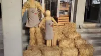 洛阳魏坡新序