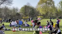 石家庄石津灌渠文化公园的早樱正在盛开，赶紧来！#石家庄游玩推荐 #赏花春游好去处  #我爱石家庄