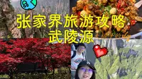 特种兵张家界旅游攻略之day2武陵源景区｜袁家界｜杨家界｜天子峰｜空中田园