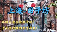 上海【田子坊】昔日外国游客最爱的景点，现在落寞了吗？是不是值得特意去一次？｜上海｜田子坊｜石库门｜弄堂｜创意街区｜Citywalk｜