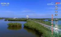 山东寿光巨淀湖旅游风景区 风起芦苇荡 心动双王城 5秒尾标广告