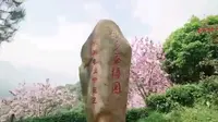 故乡的茶博园