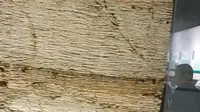 大连自然博物馆（一层基本陈列馆讲解）