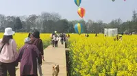 成都郫县Vlog 青杠树 三道堰