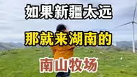 不是新疆去不起，而是邵阳南山牧场更有性价比#旅游攻略#旅游推荐#湖南旅游#南山牧场#大草原
