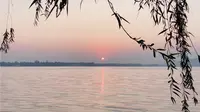 早上 5 点出发去往东湖听涛景区看日出，冷得瑟瑟发抖，大爷钓鱼、游泳，还得是大爷
