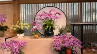 北京夫妻游顺德陈村花卉世界，精致，却不接地气。