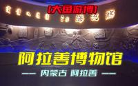 阿拉善博物馆（内蒙古·阿拉善）研学