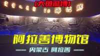 阿拉善博物馆（内蒙古·阿拉善）研学