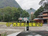 《广西龙虎山观猴记》