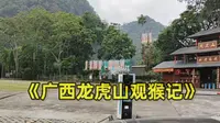 《广西龙虎山观猴记》