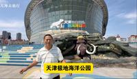 天津极地海洋公园，看看好玩吗