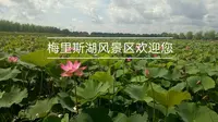梅里斯湖风景区你来过吗？