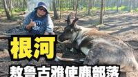 踏进根河敖鲁古雅使鹿部落，探索鄂温克人和驯鹿的那段往事