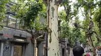 【上海】中共四大纪念馆参观