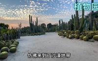 厦门市园林植物园，国内唯一建在城市中心区域的植物园
